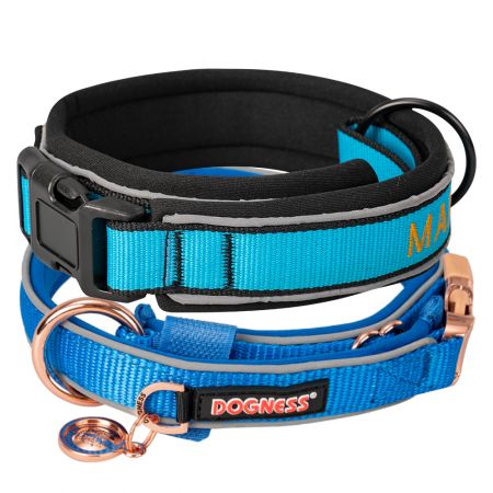 Coleiras de cachorro personalizadas em neoprene.